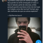 Atentados a Escolas
