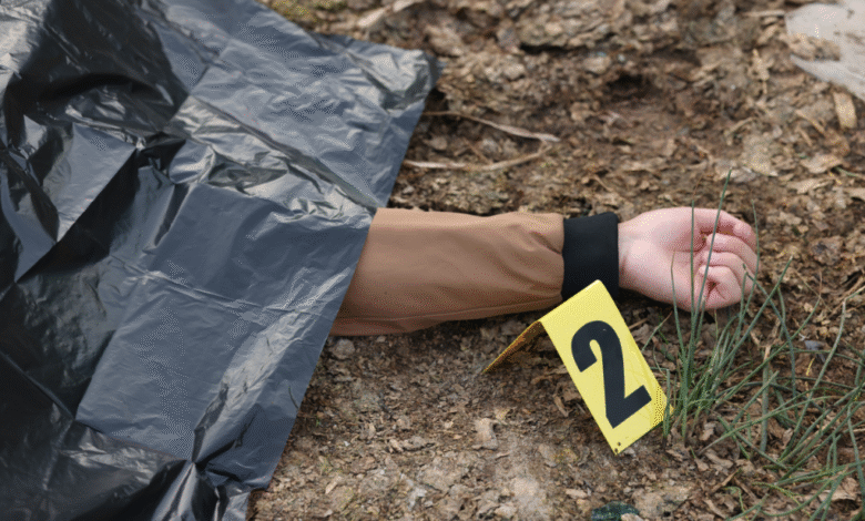 Crimes Sexuais e o Criminal Profiling