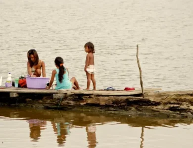 Marajó - Foto: Bruno Barreto | instituto Mamirauá